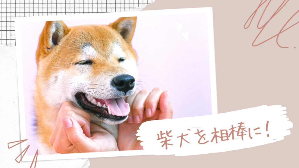 柴犬を相棒に！